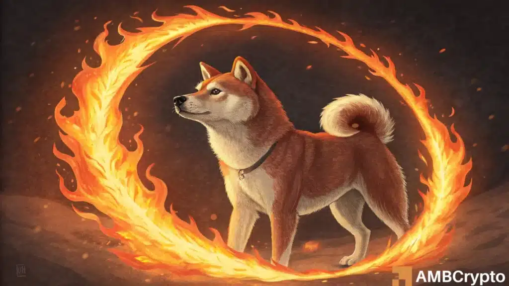 Shiba Inu (SHIB)