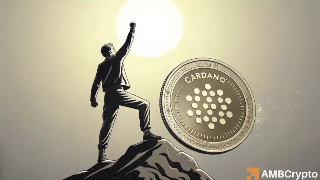 Cardano: The case for ADA leading over Solana, Ethereum in a market rebound