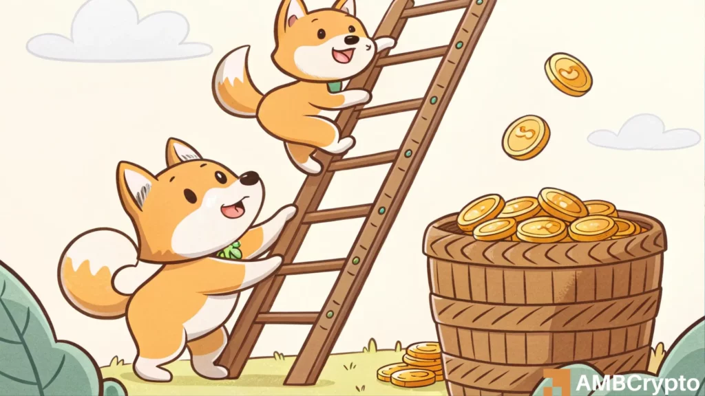 Shiba Inu's price may be near a breakout - Traders, watch out for these levels!
