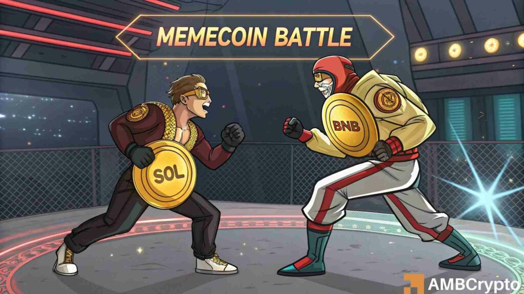 BNB flips SOL in market cap - Here's how 'memecoin mania' was key