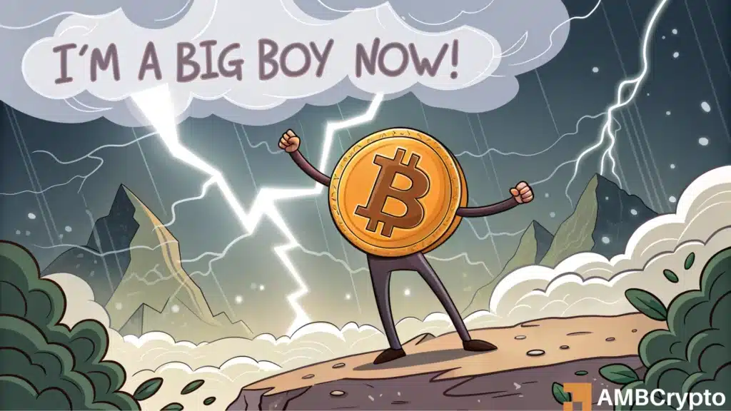 Bitcoin shows 560% ROI: Why investors are watching closely