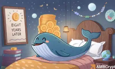 bitcoin whale