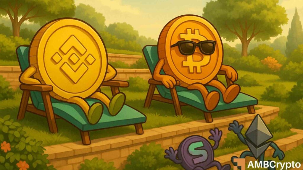 BNB remains strong even as other altcoins fall into a heap - Here's how
