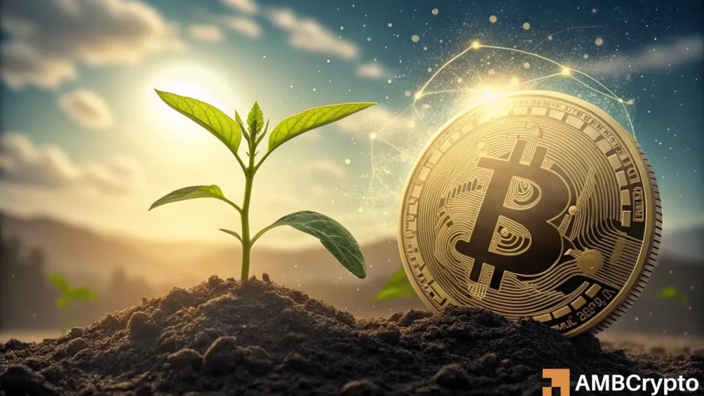Bitcoin's major sell-off might be ending: Will BTC recover now?