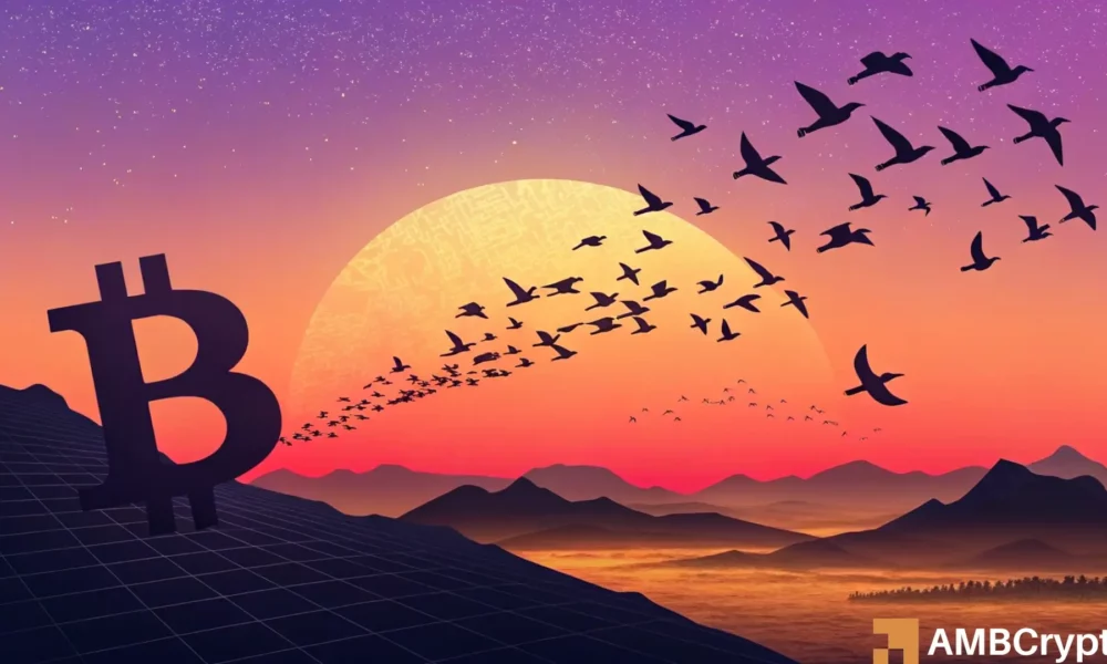 How confident are Bitcoin holders right now? Data suggests breach of $95K means…