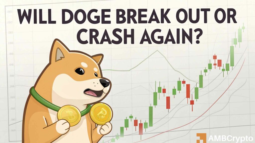 Dogecoin bulls in control? 54% traders go long as DOGE whales rise