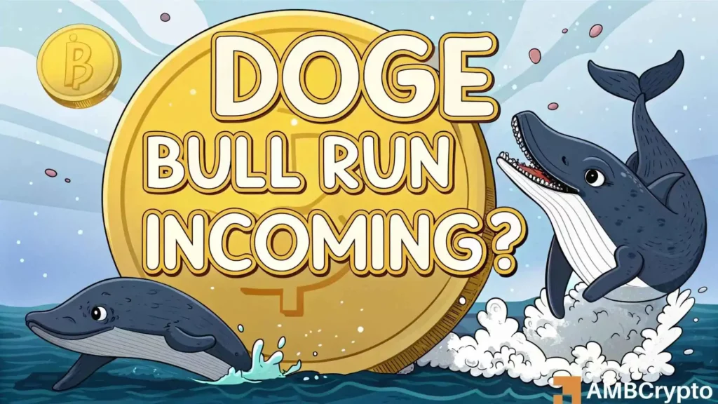 Dogecoin - How growing whale interest can spur 10% upside for memecoin