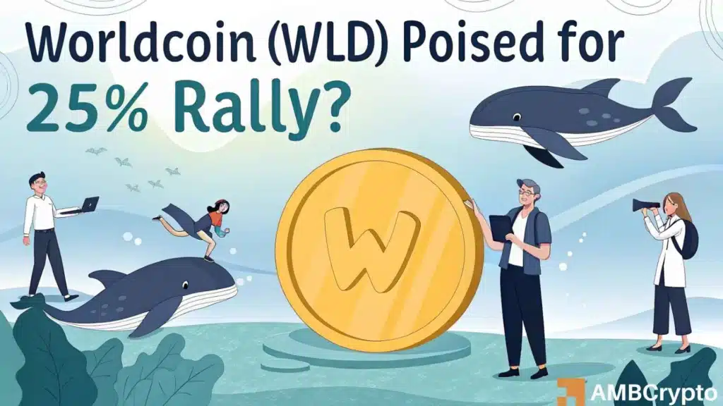 Worldcoin: Whales and institutions swarm WLD – Will retail jump in next?