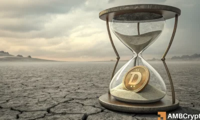 Dogecoin - Despite 2025's losses, is the memecoin trading at a premium right now?
