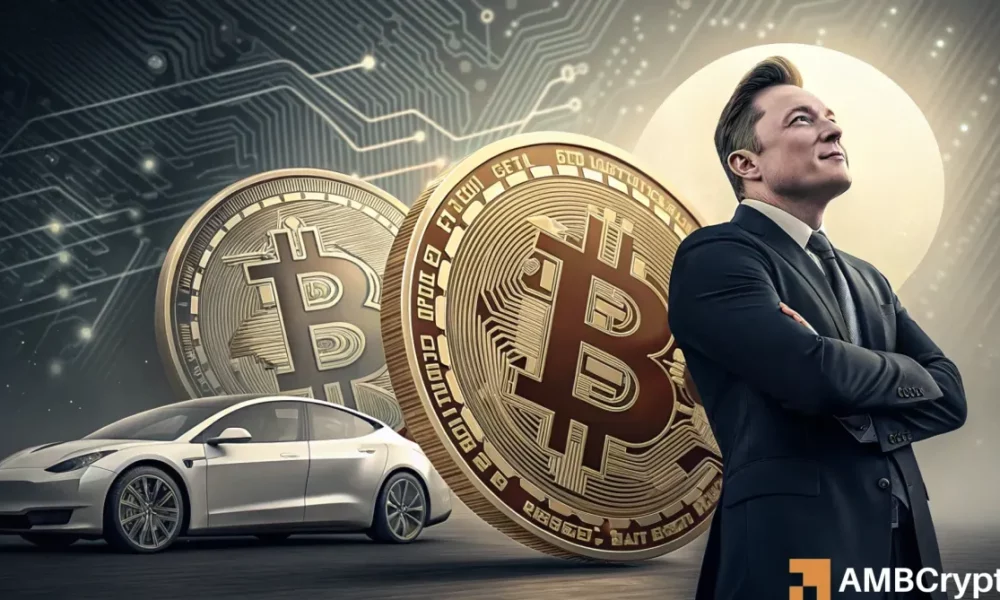 Tesla holds Bitcoin steady as Musk shifts focus from Trump’s ‘DOGE’ taskforce