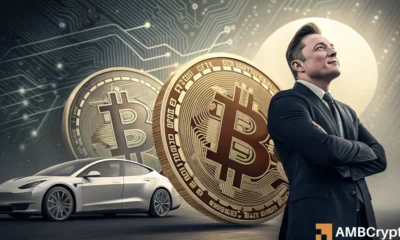 Tesla holds Bitcoin steady as Musk shifts focus back from Trump’s ‘DOGE’ taskforce
