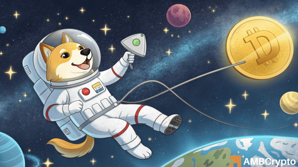 Dogecoin whales accumulate 80M tokens - Enough to push DOGE past $0.20?