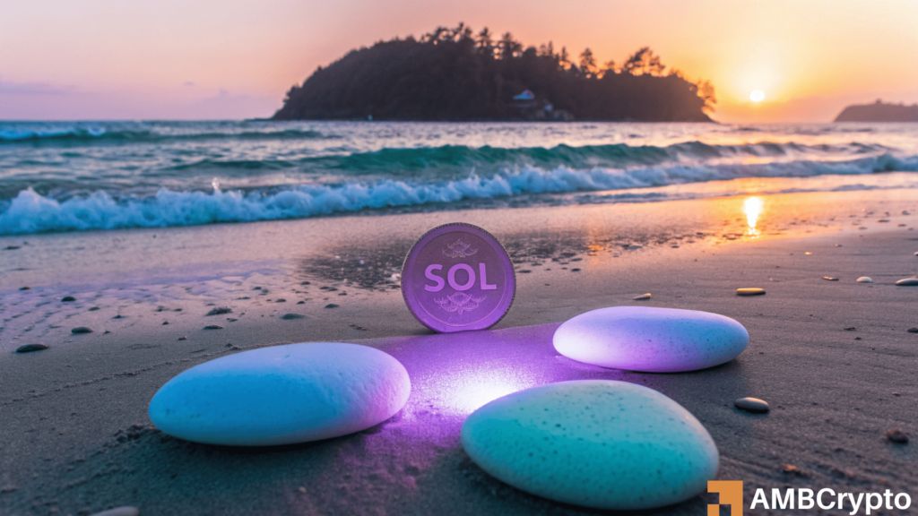 Solana shows 3 bullish signs - How will these factors help SOL?