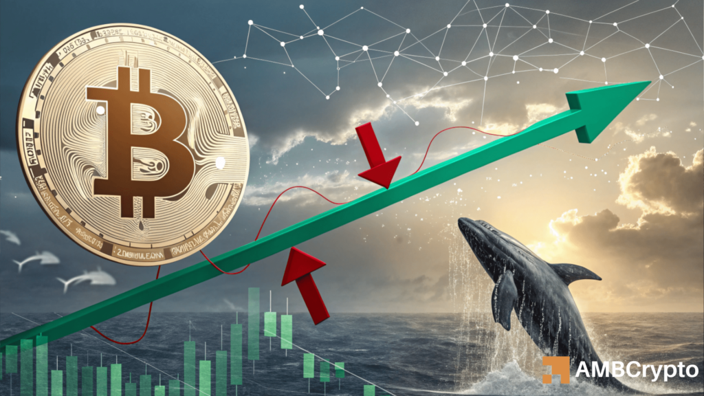 Bitcoin whale shifts 1,220 BTC off Kraken – Will this help BTC bounce?