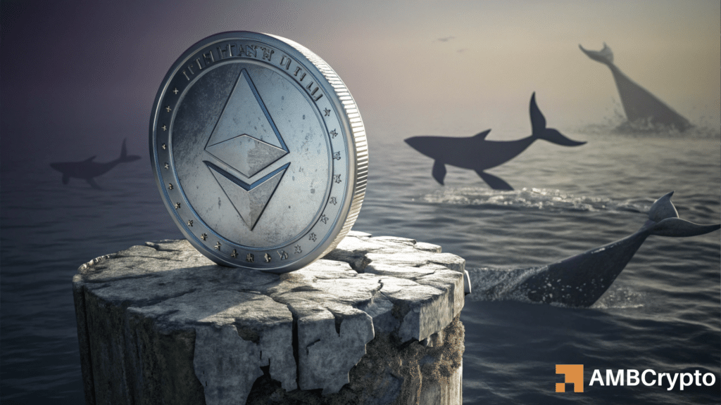 Ethereum whale activity drops 63.8% – Is a correction on the horizon?