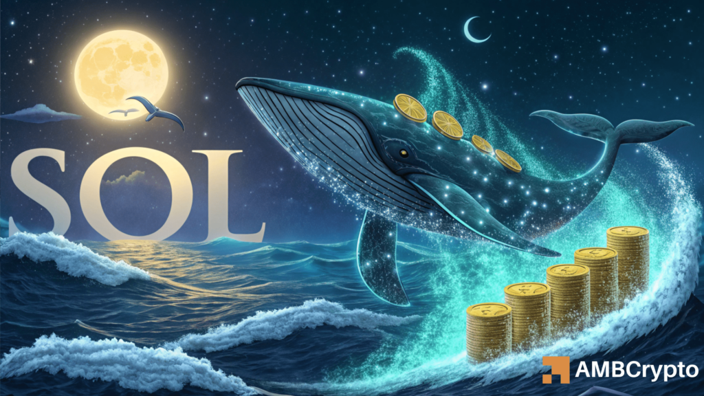 Solana whale deposit: A selloff signal or bullish setup?