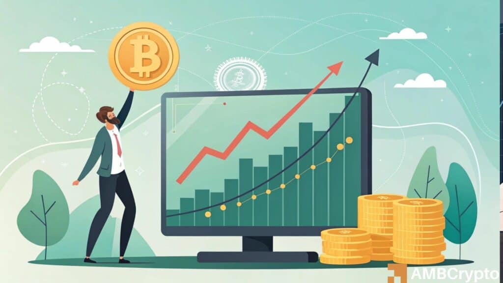 Bitcoin's 3-6Mln Long Term Holders See A Sharp Rise in Wealth: What it Means for BTC