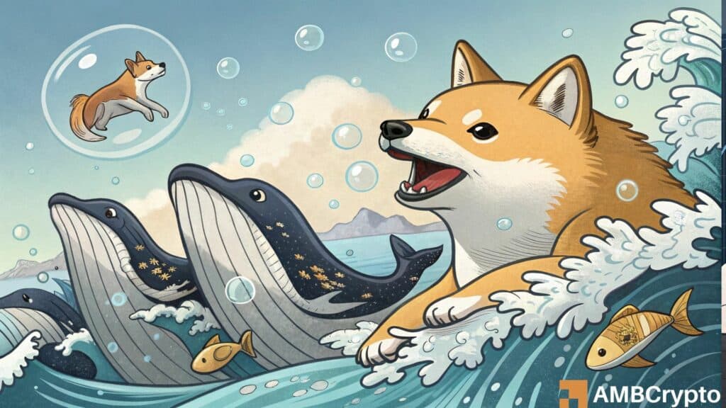 Shiba Inu whales offload 801B tokens in 24 hours: How did this impact SHIB?