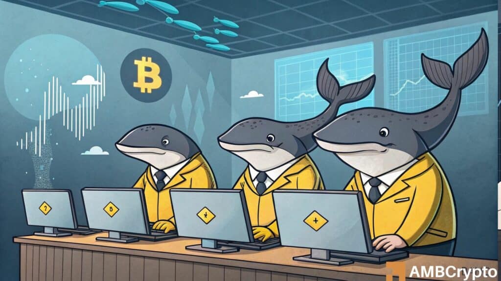 Bitcoin Whales On Binance Are Not Selling: What it Means for BTC