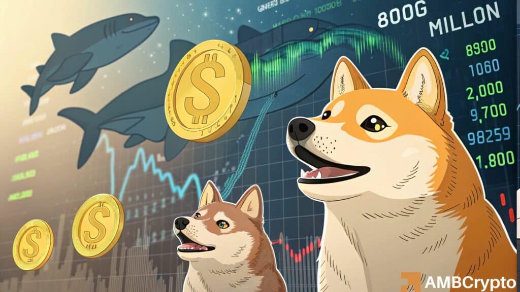Dogecoin whales' 800M purchase - What should you expect next?