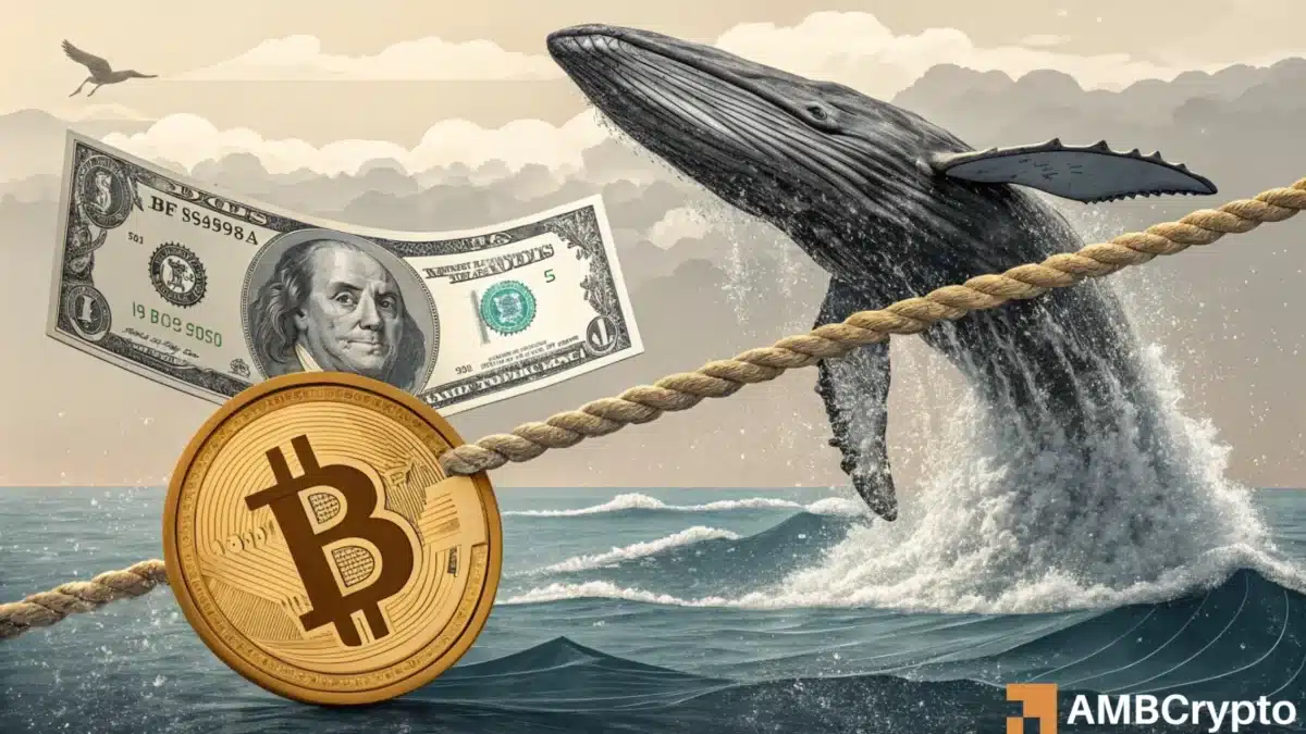 Bitcoin whales absorb market pressure, but is a parabolic run REALLY coming?
