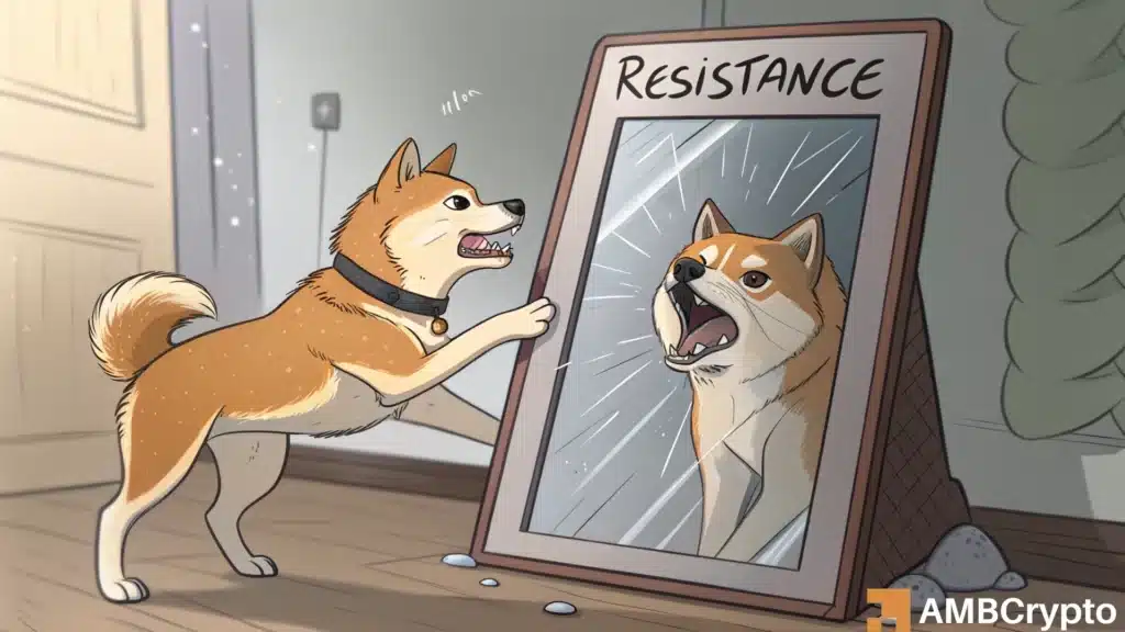 FLOKI: Why memecoin’s fate hangs at $0.00006