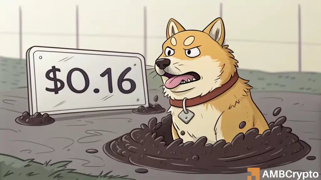 Dogecoin DOGE