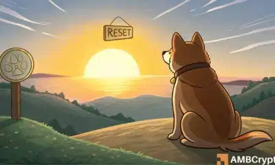 Dogecoin DOGE