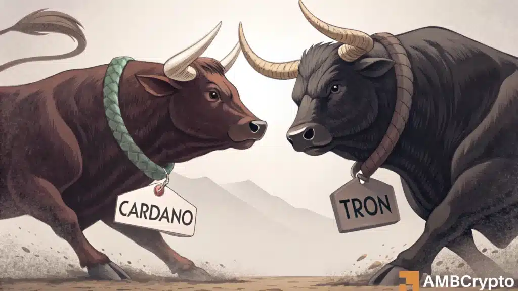 TRON or Cardano in Q2? On-chain signals point to a clear winner!