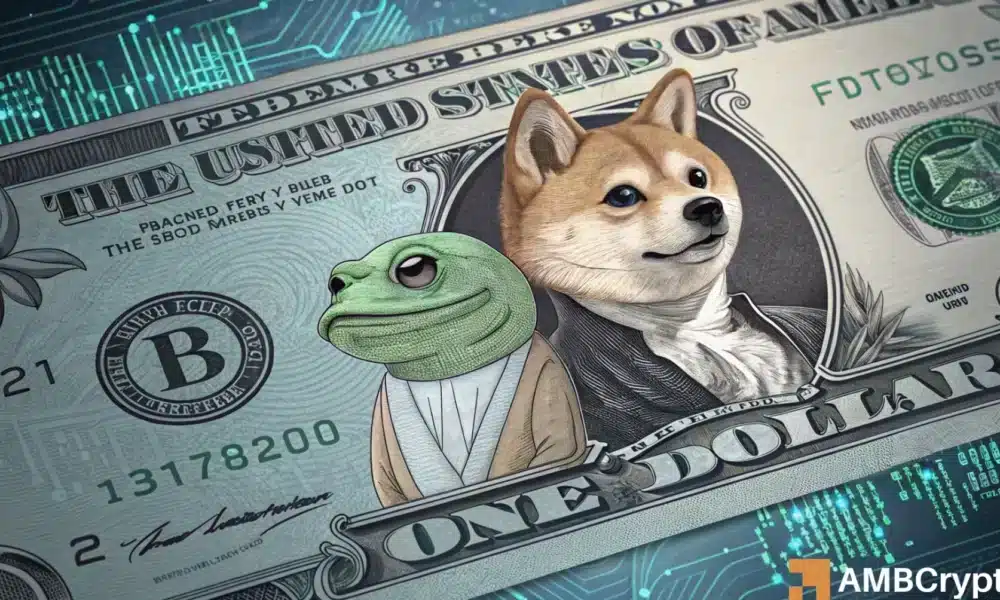 Are memecoins the new market hedge? THESE tokens are defying the downtrend!