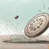 A 'warning' for Cardano traders - Will fading FOMO lead to a breach of $0.63?