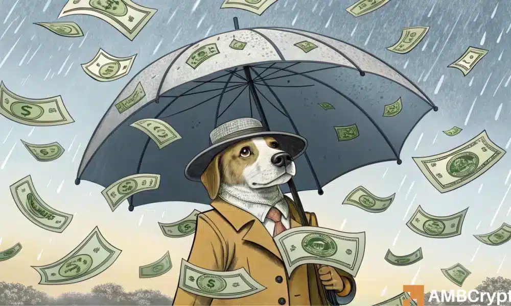 dogwifhat to ? Why FOMO could be WIF’s big trigger
