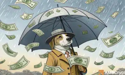dogwifhat to $1? Why FOMO could be WIF's big trigger