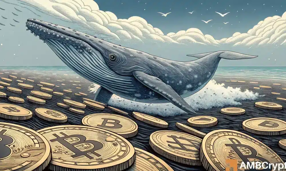 Bitcoin wallets with 1K-10K BTC rise – Will whale confidence spur a bull run?