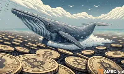 Bitcoin wallets with 1K-10K BTC rise - Will whale confidence spur a bull run?