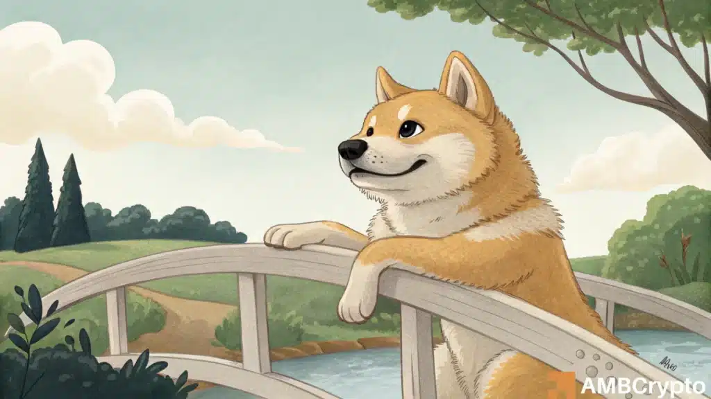 Dogecoin dips 16%, hits $0.16: Where will DOGE go next?