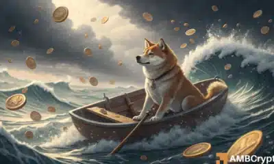 shiba inu