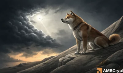 Shiba Inu rebounds: The bullish case for a price surge