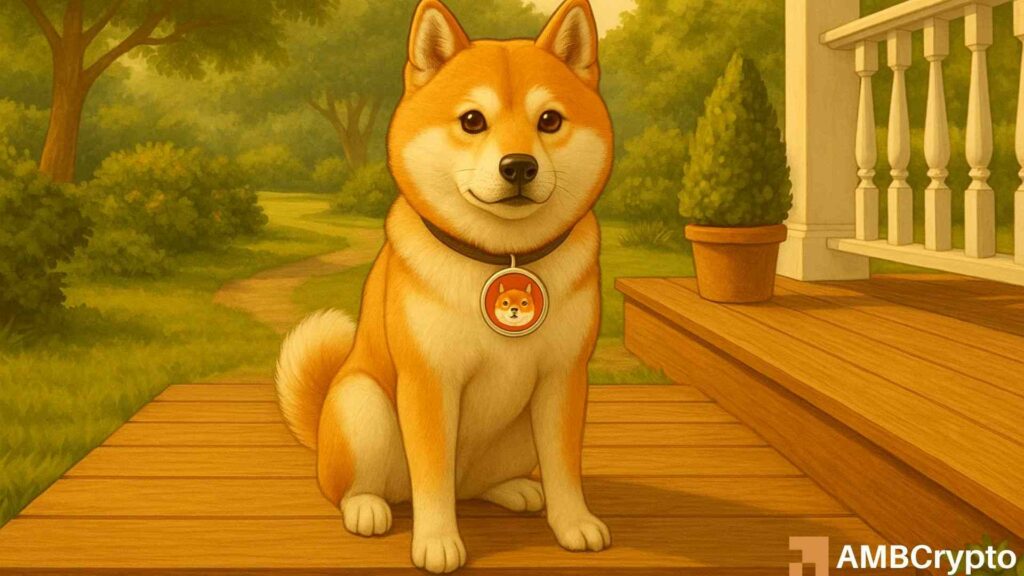 Shiba Inu whale activity spikes 90% - So what's holding SHIB back?