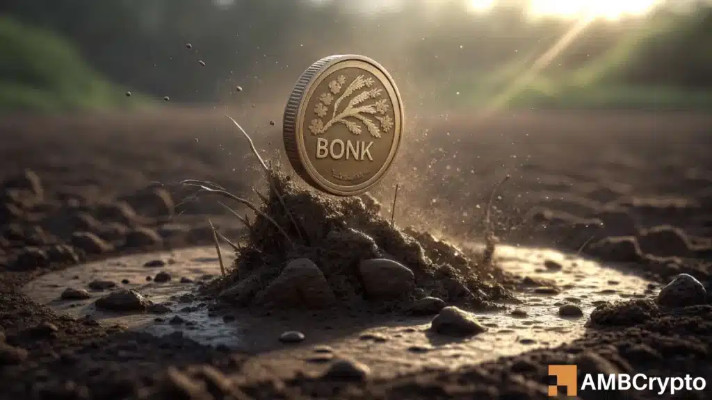 BONK bloodbath sparks $4 mln cold storage move - What’s going on?