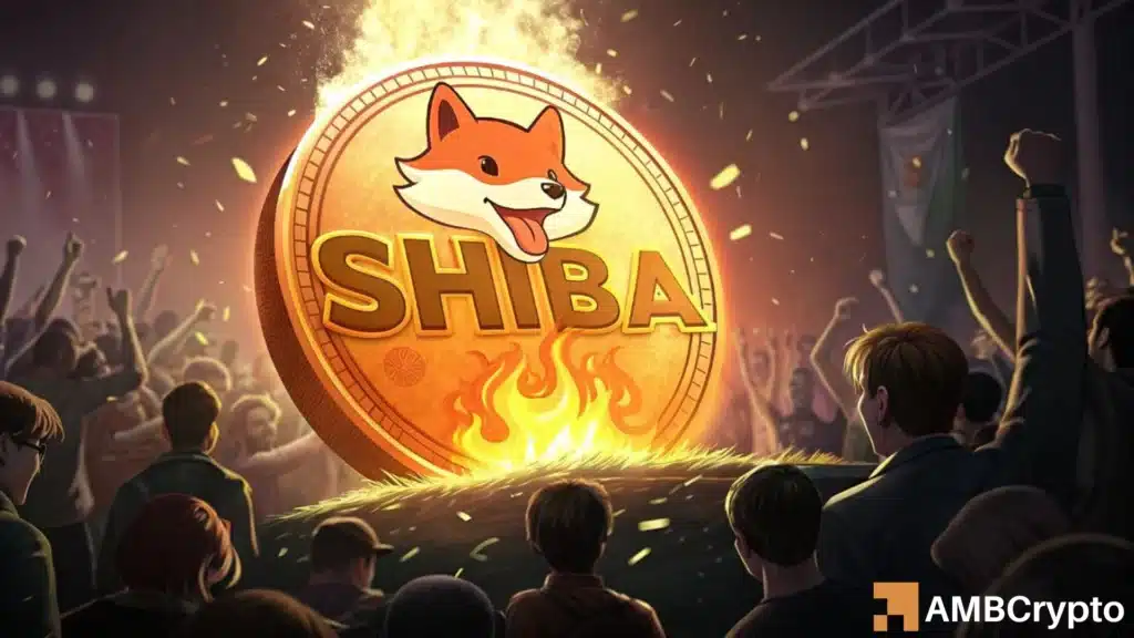3,333,333 SHIB burned in 24 hours - Coincidence or hidden signal?