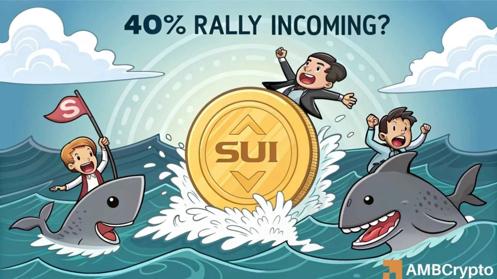Is SUI's $40 mln inflow a sell-off warning from long-term holders?