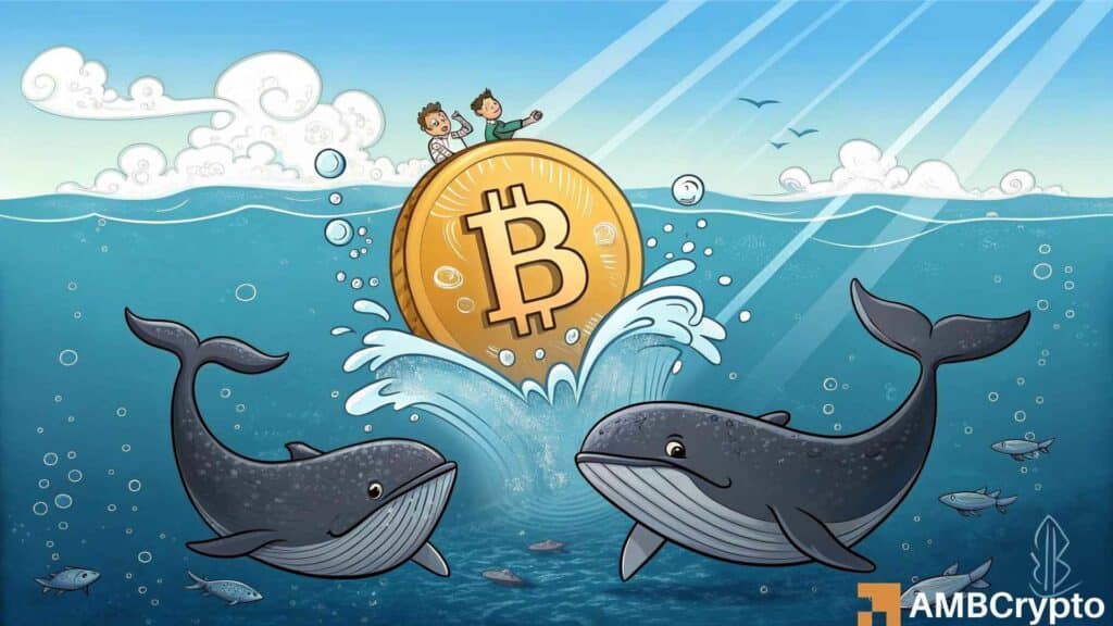 Bitcoin whales continue accumulating, Is BTC headed for ATH?