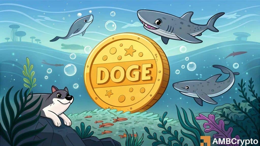Dogecoin (DOGE) ready for another rally? Whale activity soars