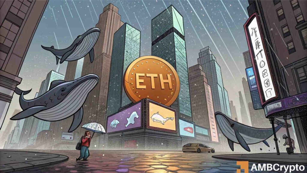 Ethereum whales buy over 1M ETH, Major rally incoming?