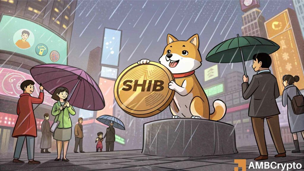 Shiba Inu (SHIB) dual scenario, Potential rebound or sharp crash