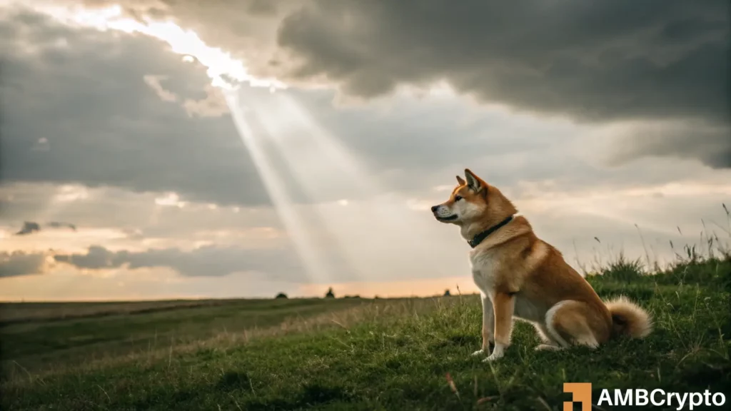 Dogecoin's short-term setback means its next price rally will...