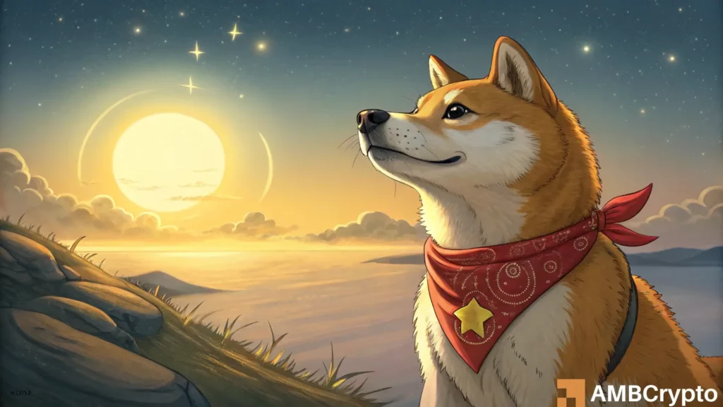 Dogecoin: Buying pressure pushes DOGE higher - Can $0.3 come next?