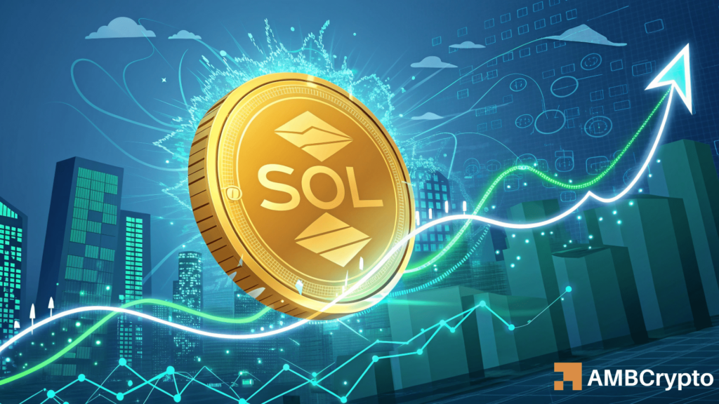 Whale activity and sentiment: Will SOL break out soon?