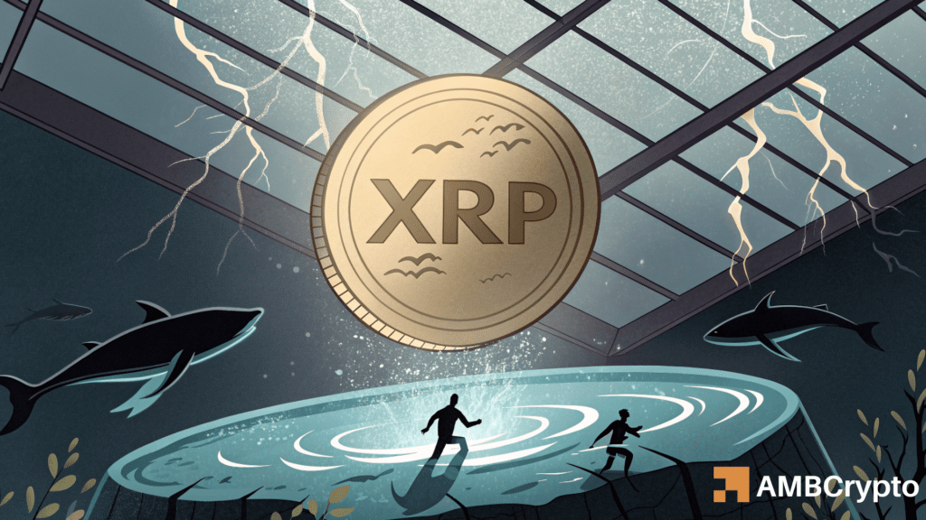 XRP whale activity spikes: Is a breakout finally coming?